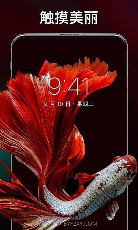 灵猫壁纸大全截图3 灵猫壁纸大全截图3