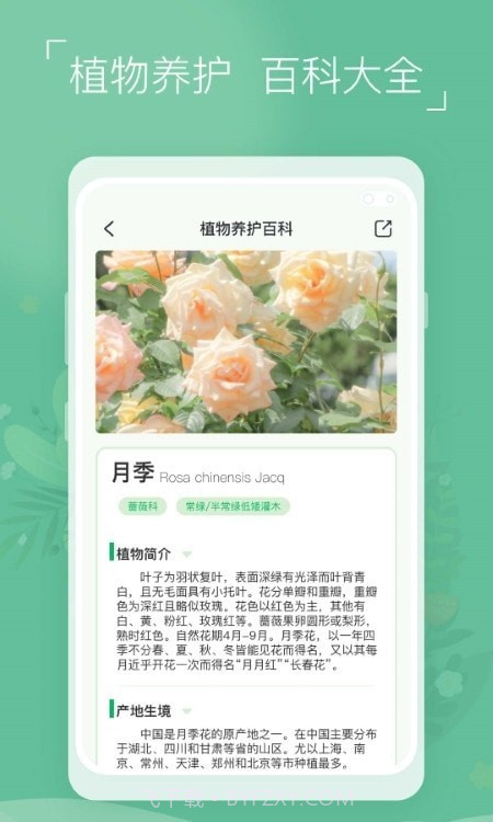 植物识别宝截图5