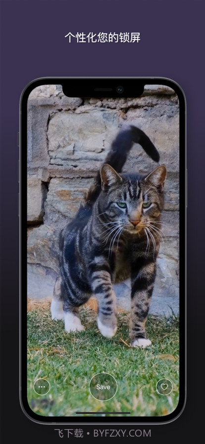 猫动态壁纸截图4