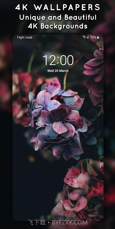 4K3D动态壁纸截图5