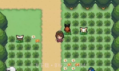 口袋妖怪剑盾gba铠之孤岛金手指截图1 口袋妖怪剑盾gba铠之孤岛金手指截图1