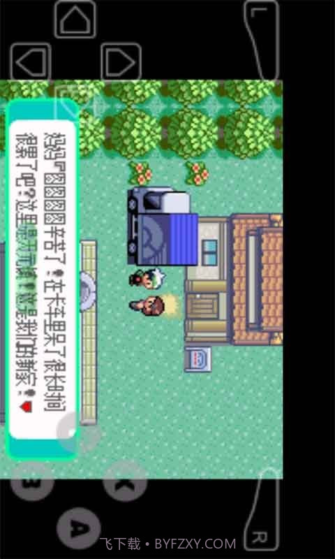 口袋妖怪暗之冰花截图3