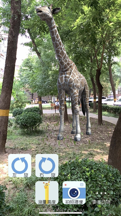 拍拍鹿截图1 拍拍鹿截图1