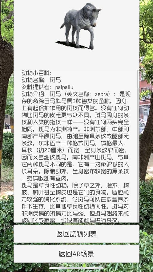 拍拍鹿截图5 拍拍鹿截图5