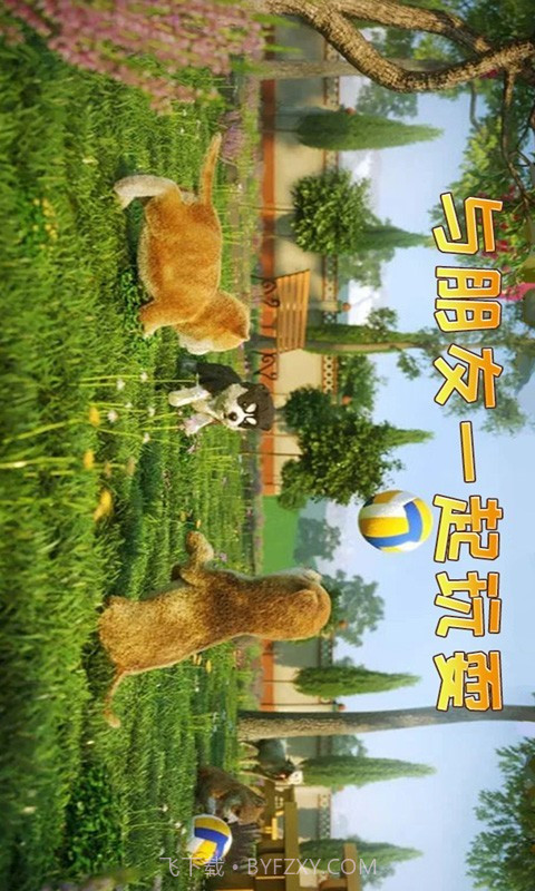 小猫历险记截图4 小猫历险记截图4