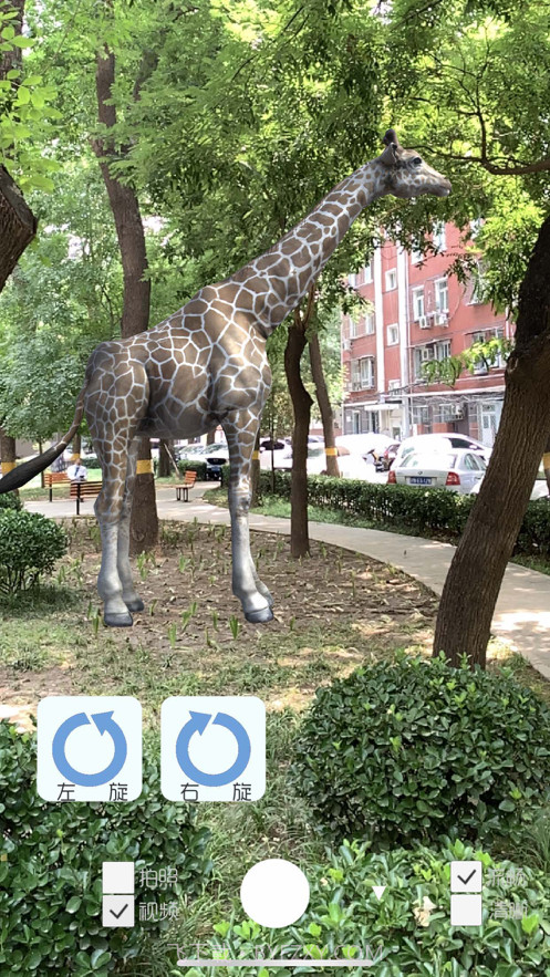 拍拍鹿截图2 拍拍鹿截图2