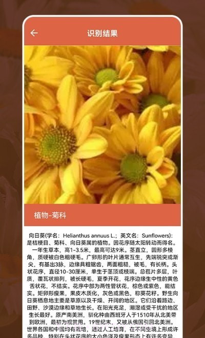 动植物识别大全截图2