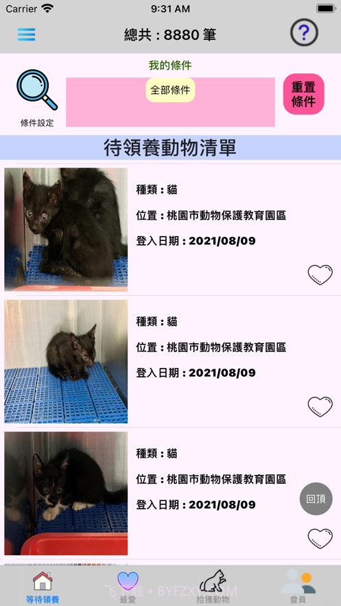 帮它找个家截图1 帮它找个家截图1