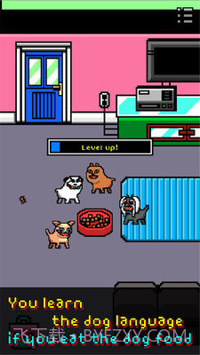 我变成一只狗截图2