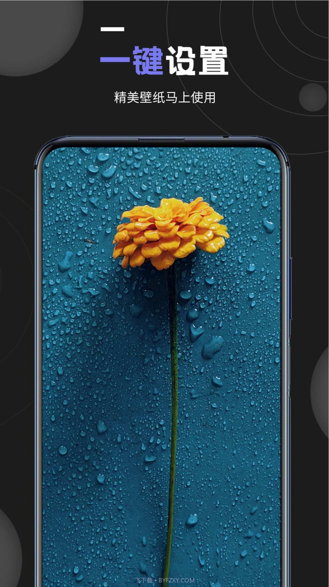 个性壁纸大全截图4