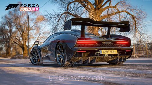 forzahorizon4截图3