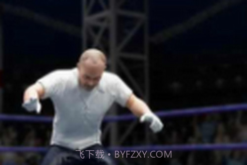 拳击明星赛截图5 拳击明星赛截图5