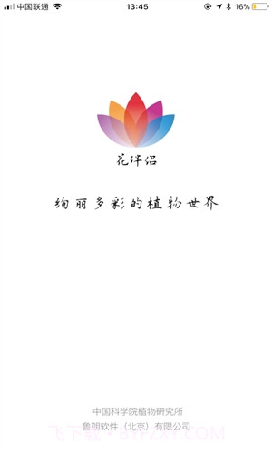 花伴侣截图4