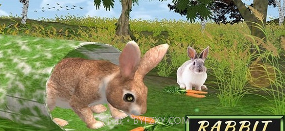 兔子模拟器截图1 兔子模拟器截图1