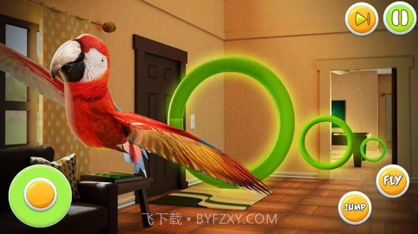 宠物鹦鹉模拟器截图2