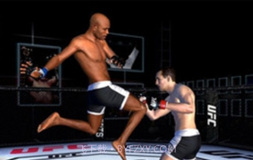 UFC终极格斗冠军截图3