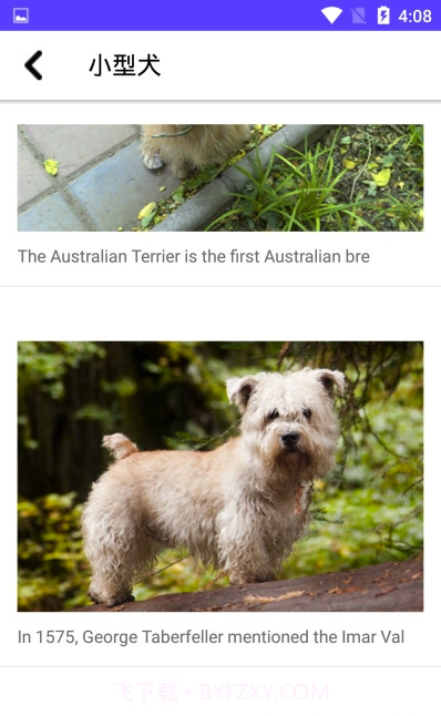 狗狗图鉴(专业动物科普图鉴)安卓正式版截图1 狗狗图鉴(专业动物科普图鉴)安卓正式版截图1