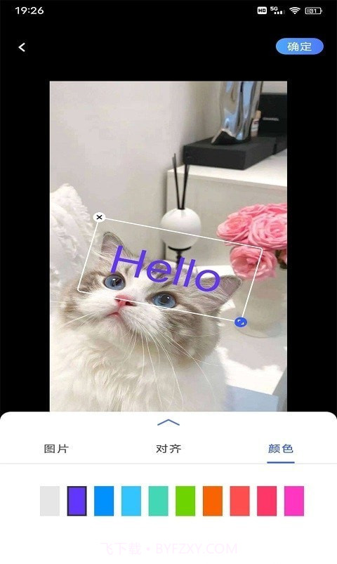 小猪翻译器截图2