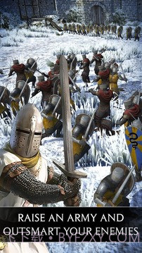 全面战争：王国截图2