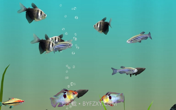 我的水族箱3d截图2 我的水族箱3d截图2