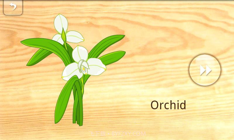 宝宝拼图:植物截图6 宝宝拼图:植物截图6