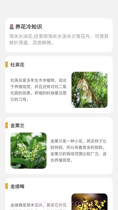 百花悦看截图4 百花悦看截图4