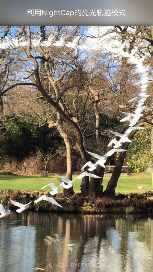 NightCap相机截图2 NightCap相机截图2