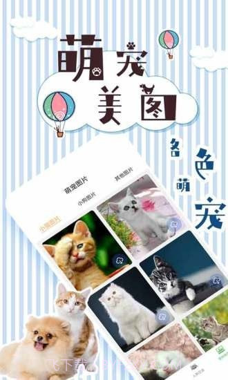 人猫翻译交流器截图4 人猫翻译交流器截图4