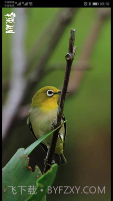 辣问互助app(辣问互助答题)V1.0.1 截图2