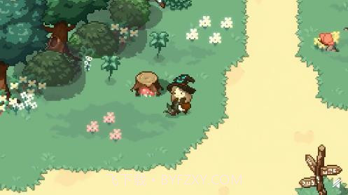 林中小女巫截图2