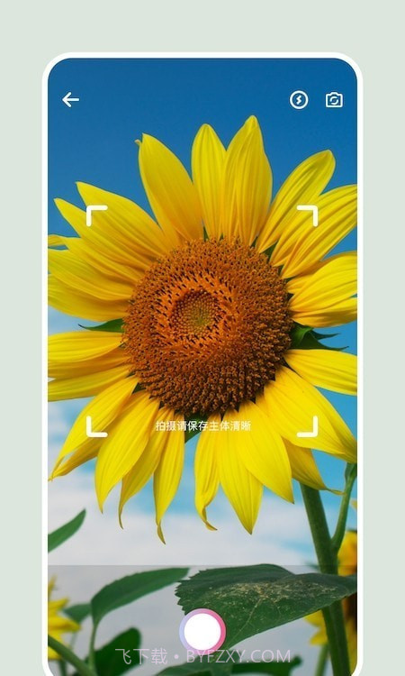 识别花截图3 识别花截图3