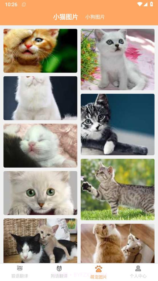 喜晟猫狗翻译截图2 喜晟猫狗翻译截图2