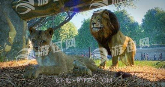 动物园之星免费中文版截图2 动物园之星免费中文版截图2