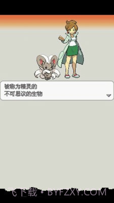 口袋妖怪:白2 649版截图2 口袋妖怪:白2 649版截图2