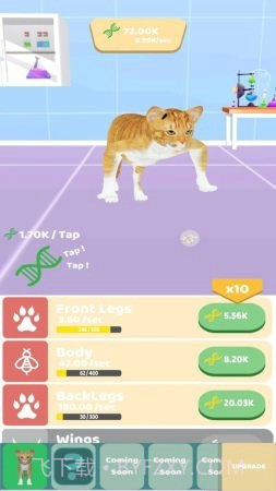 动物进化实验截图1