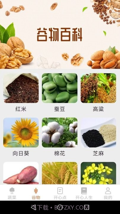 绿色菜园子截图1 绿色菜园子截图1