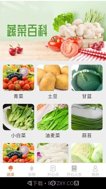 绿色菜园子截图4 绿色菜园子截图4