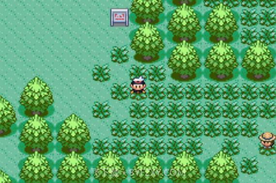 口袋妖怪漆黑的魅影6.0截图4