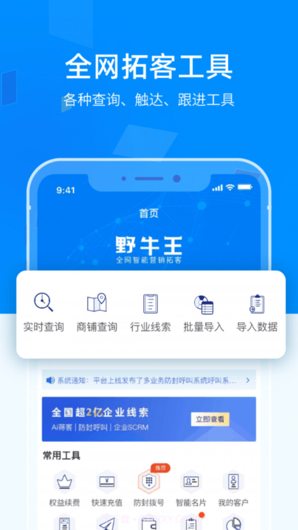 野牛王截图1