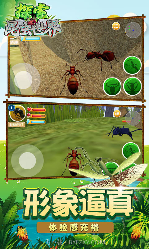探索昆虫世界截图4