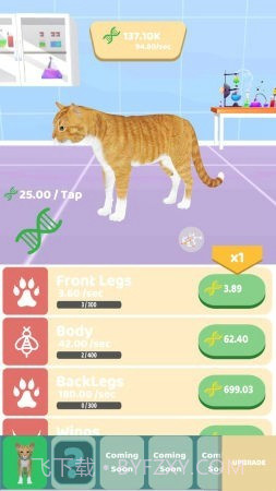 动物进化实验无限版截图3