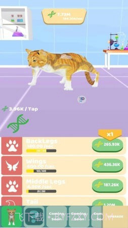 动物进化实验无限版截图2