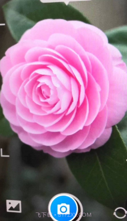 月光工具盒子截图3 月光工具盒子截图3