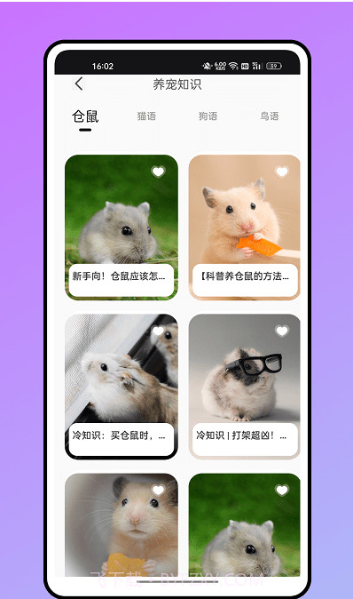 仓鼠翻译器截图3 仓鼠翻译器截图3