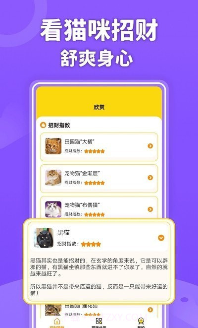 招财进猫学习截图2 招财进猫学习截图2