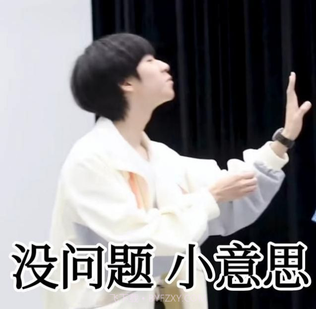 tnt时代少年团表情包无水印GIF图 v1.0截图3