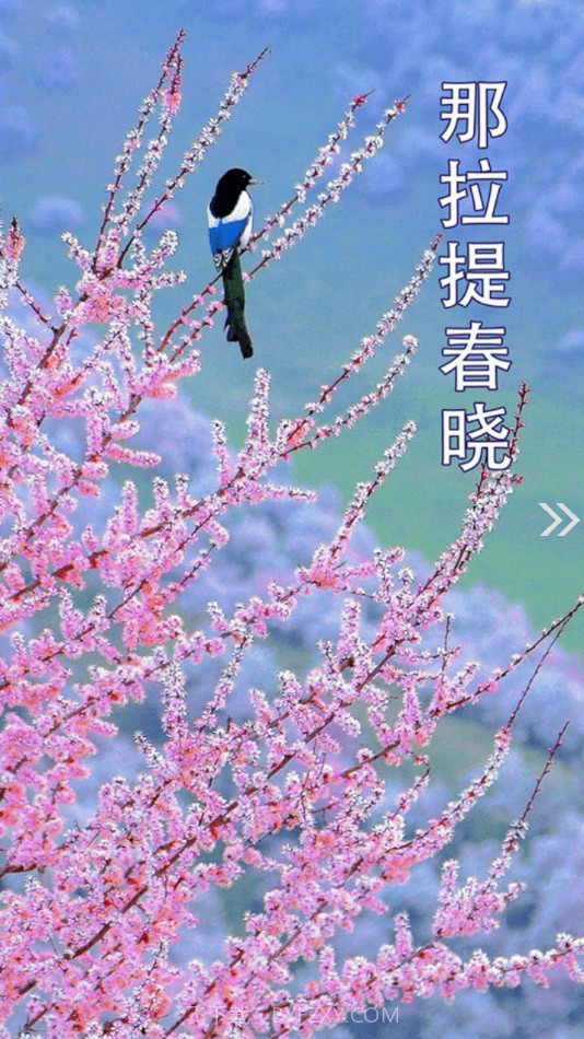 新源好地方截图3