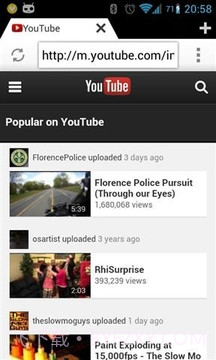 快速浏览器截图2