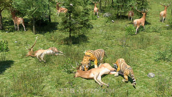 野生老虎模拟器截图3