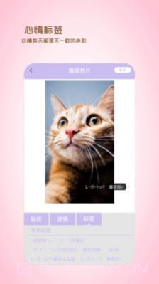 全能美日相机截图2 全能美日相机截图2